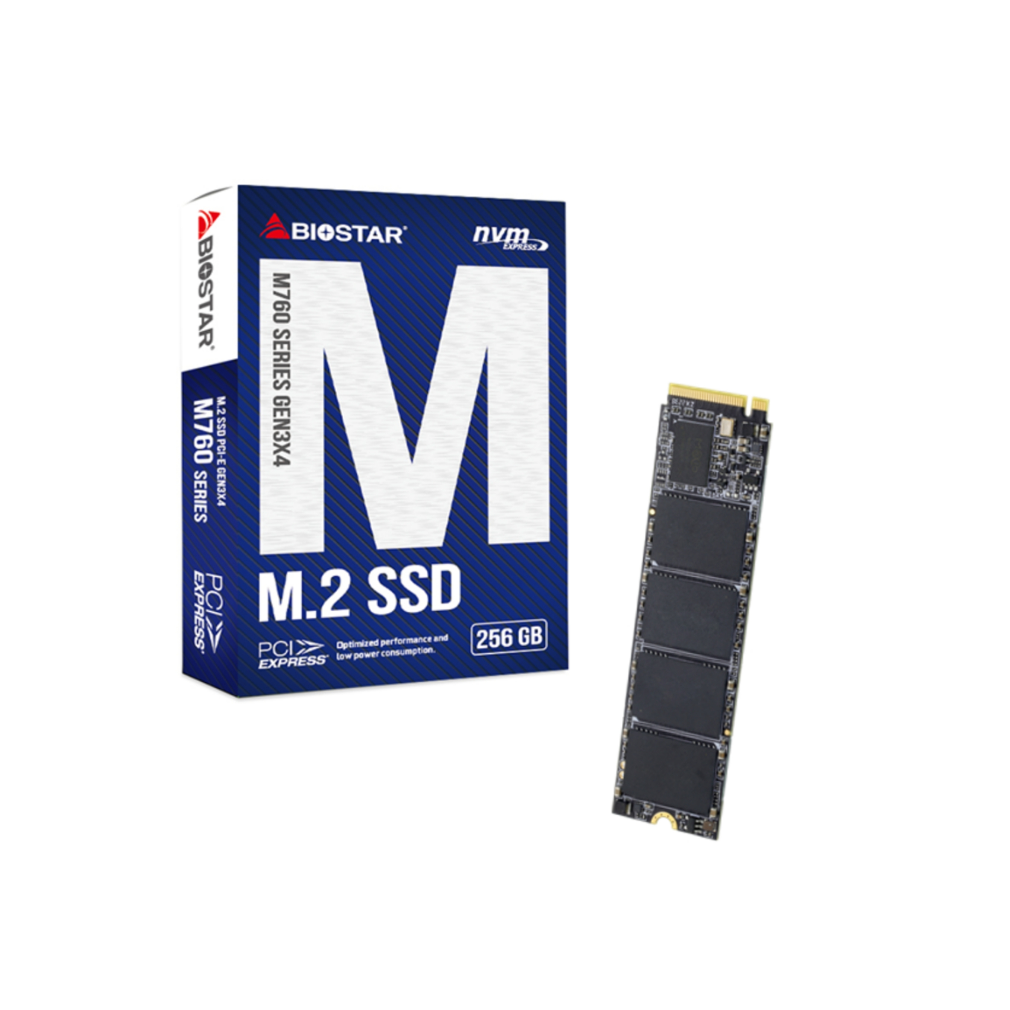 M2 SSD 256GB BIOSTAR M760 NVME